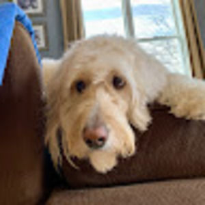 Meet your Posher, Barbara